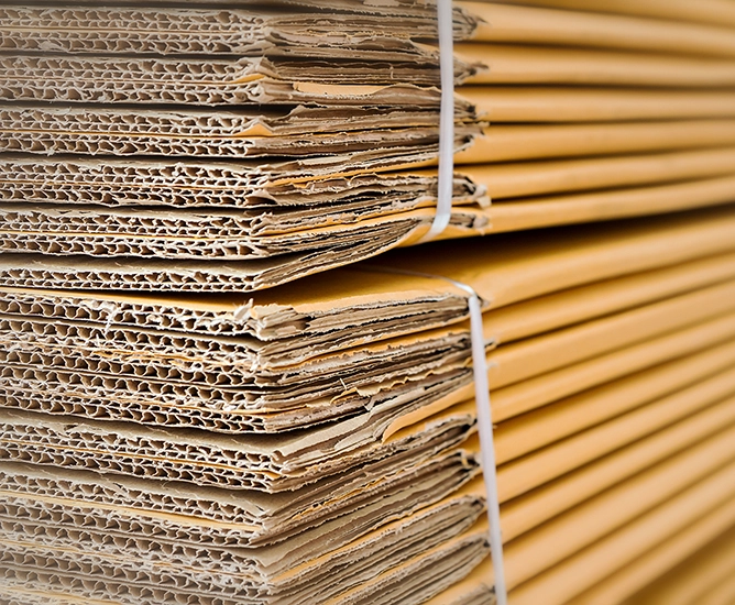 Paper & Packaging Insights Corporate Finance Citizens