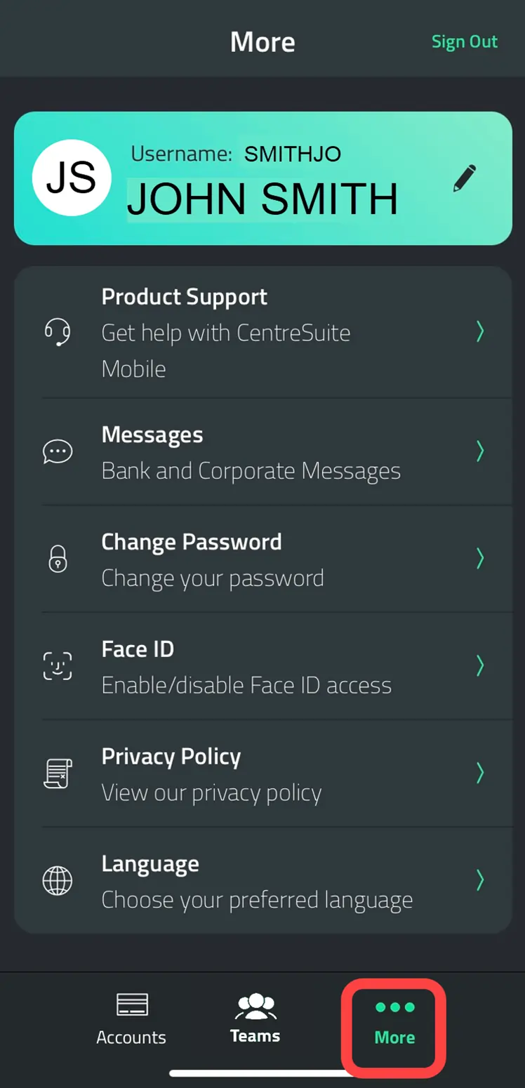 Mobile instructions - menus - 2