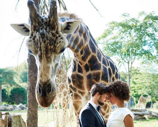 10 Affordable Wedding Venue Ideas Learn More Citizens Bank