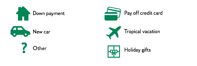 a list containing down payment, new car, other, pay off credit card, tropical vacation, and holiday gifts