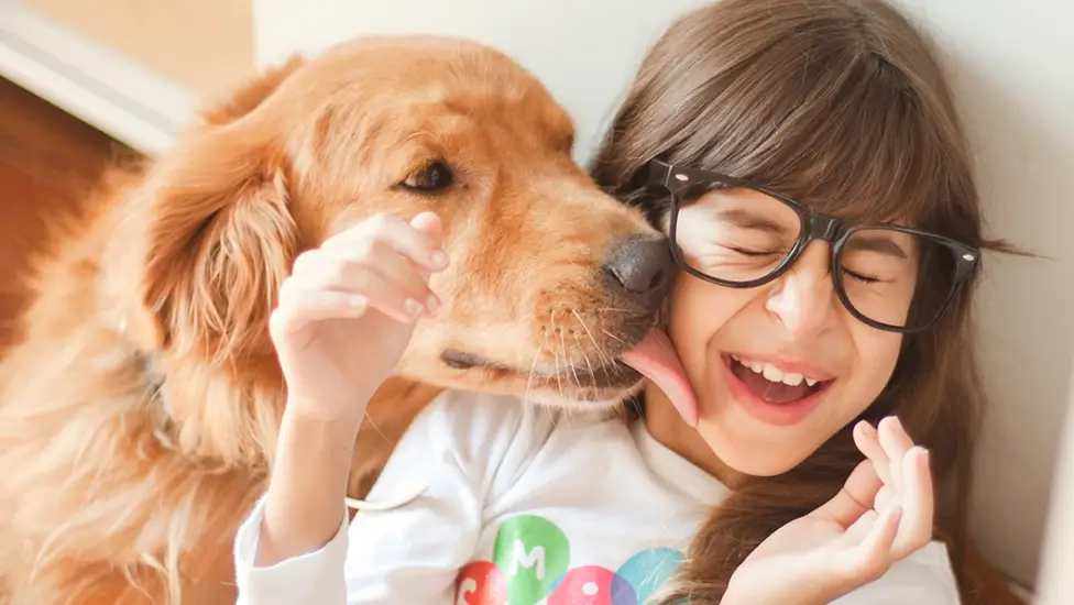 Dog licking girls face