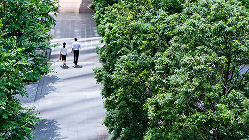 People walking tree-lined sidewalk