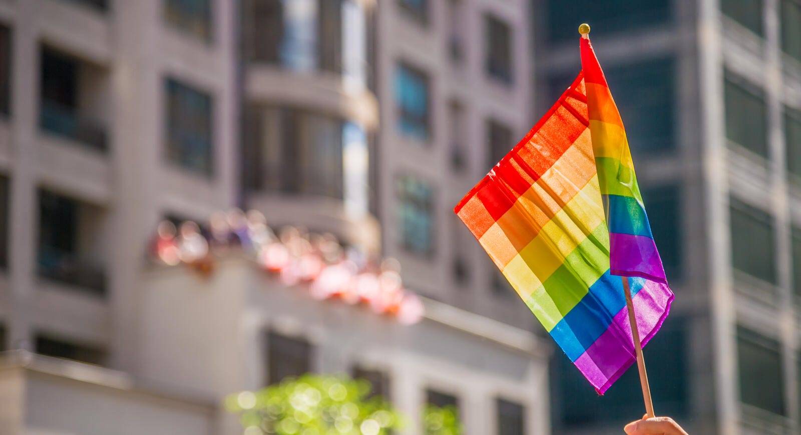 LGBTQ flag
