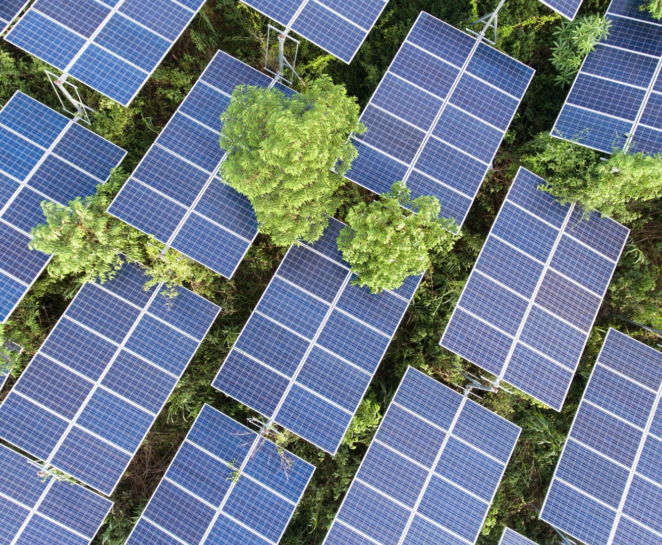 decorative image of solar panels